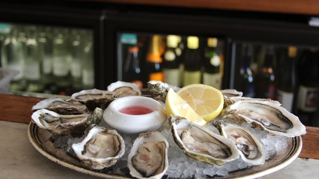 Oysters