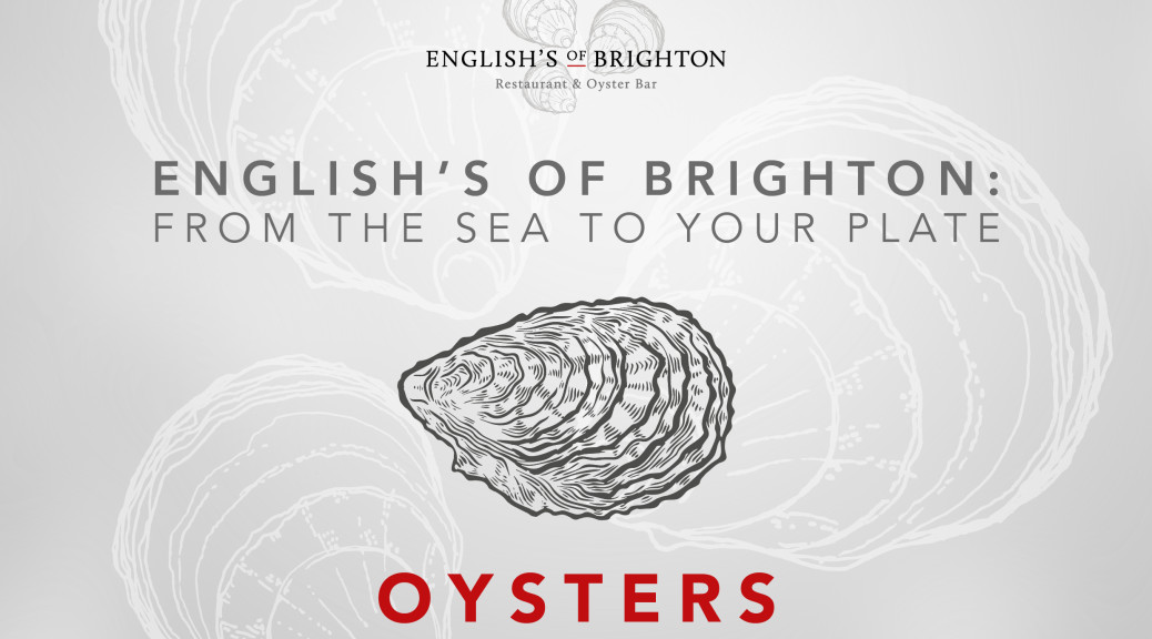English's-Blog-Post-Artwork-Oysters-V1-290318