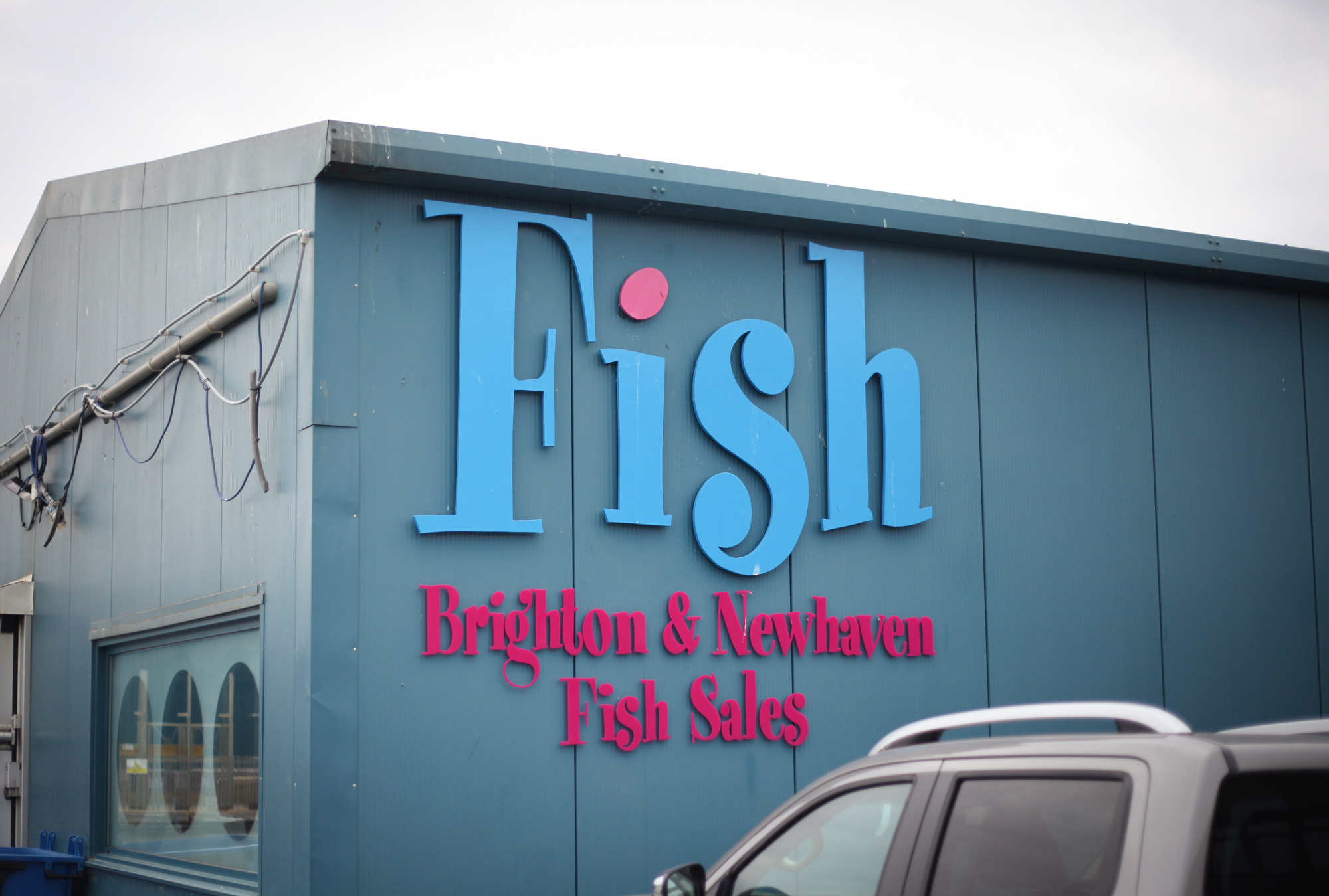 Behind the scenes at Brighton & Newhaven Fish Sales English's of Brighton