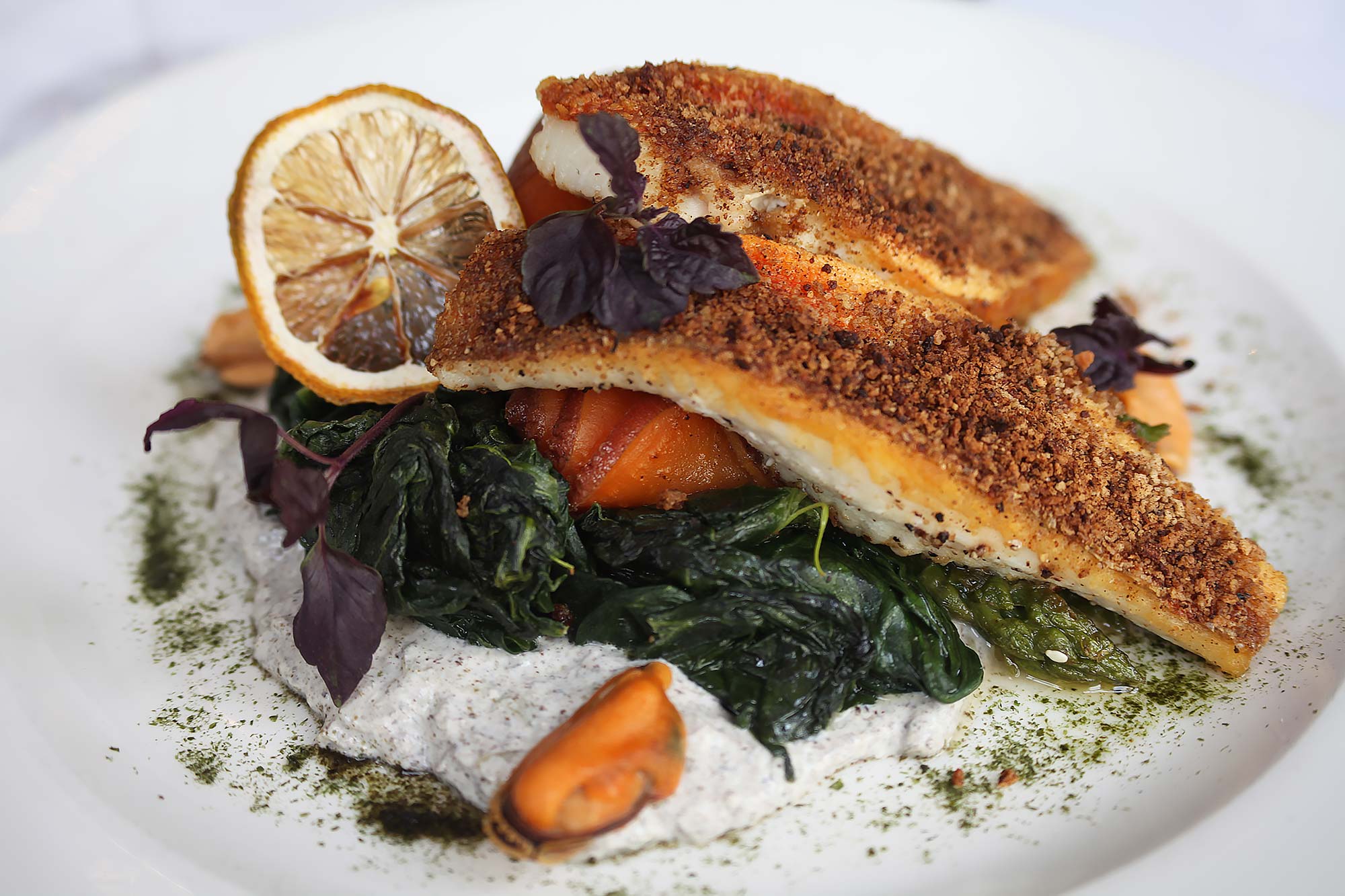 Porcini gratin gurnard fillets, Hasselback sweet potato, asparagus, spinach, pickled mussels, seaweed tzatziki