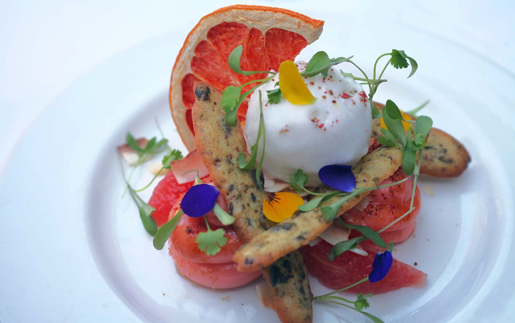 Caramelized grapefruit curd, coconut sorbet, pink peppercorn, pistachio lingue di gatto, coriander.